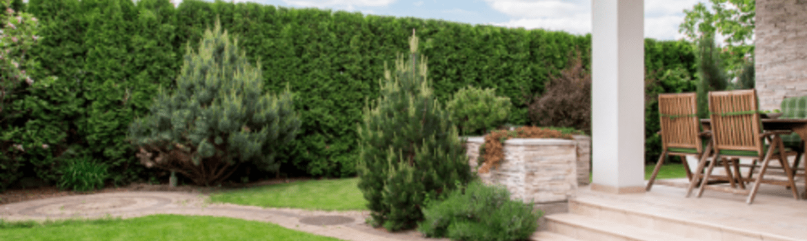 Pavasariniai darbai prieš pradedant tręšti veją. Pataria ProGraden produkto ambasadorius, agronomas ir landšafto specialistas Tautvydas Gurskas