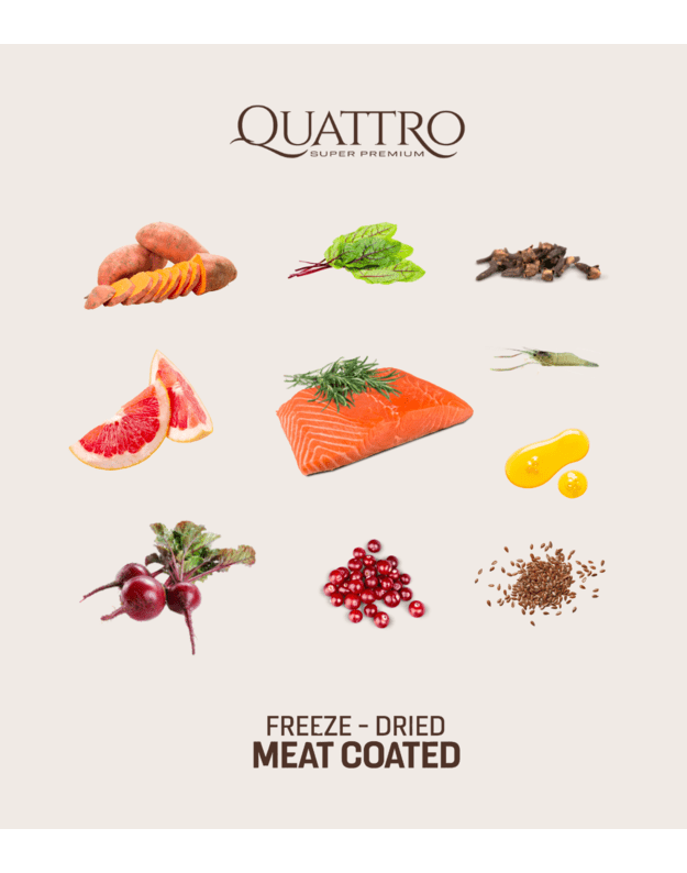 Quattro  small breed adult hipoalerginis maistas su lašiša ir kriliu 7 kg 