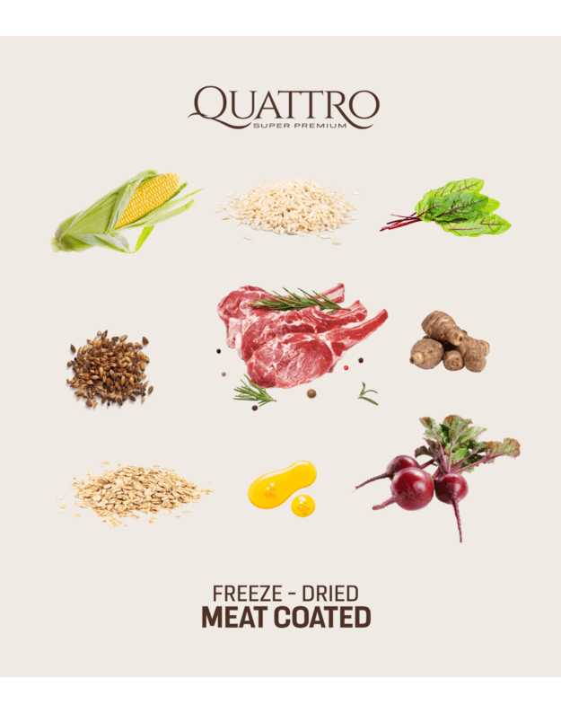Quattro 3 kg Extra Lamb su ėriena sausas šunų pašaras