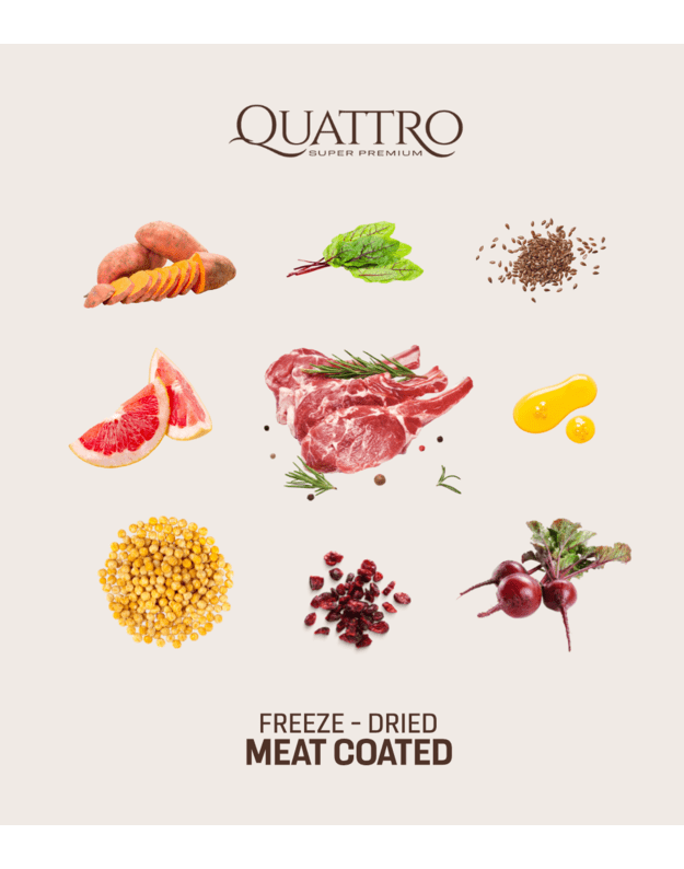 QUATTRO  small breed adult begrūdis maistas su ėriena 1.5 kg.