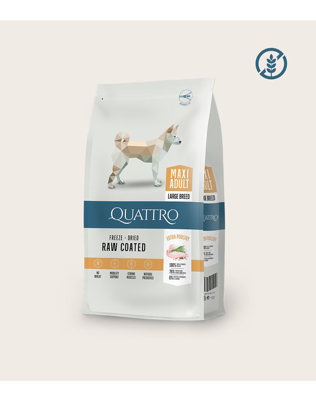 QUATTRO Maxi Adult su paukštiena  3kg