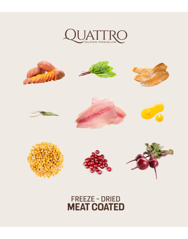 Quattro 3kg  begrūdis visų veislių senjorų/dietinis šunų pašaras su balta žuvimi ir kriliu