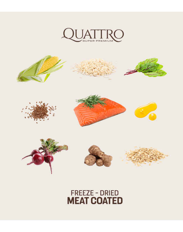 Quattro  EXTRA salmon, 3kg