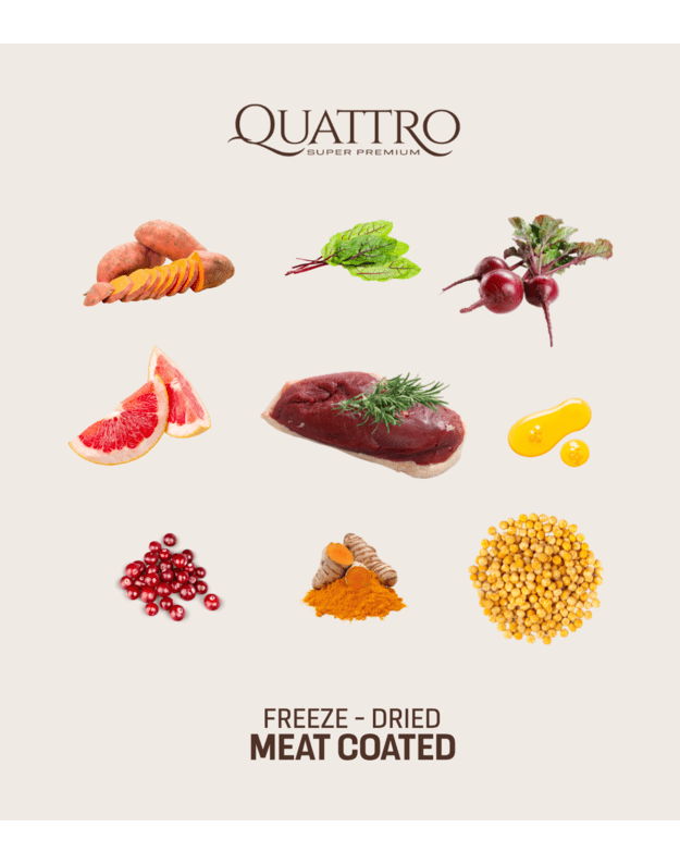 Quattro 3kg  begrūdis visų veislių suaugusių šunų pašaras su ėriena monoproteinas