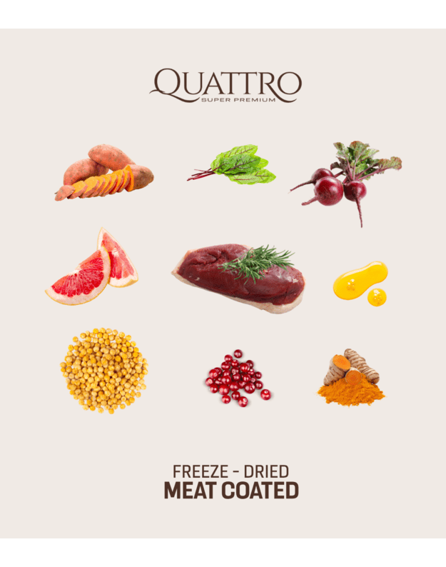 QUATTRO begrūdis šunų pašaras su antiena, 3kg 