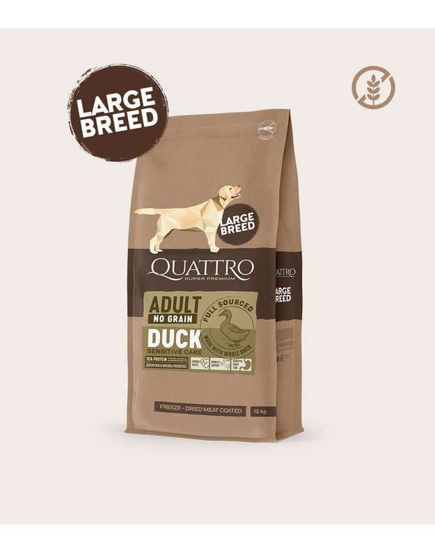 QUATTRO begrūdis šunų pašaras su antiena, 3kg 