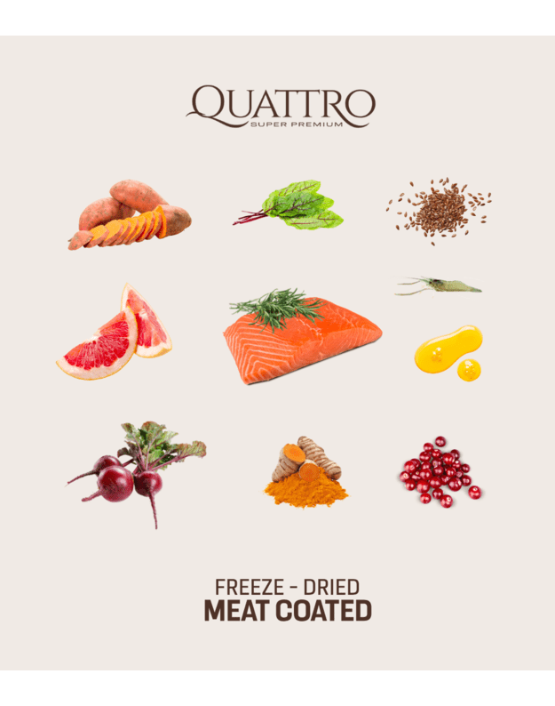 Quattro 3kg begrūdis visų veislių suaugusių šunų pašaras su lašiša ir kriliu