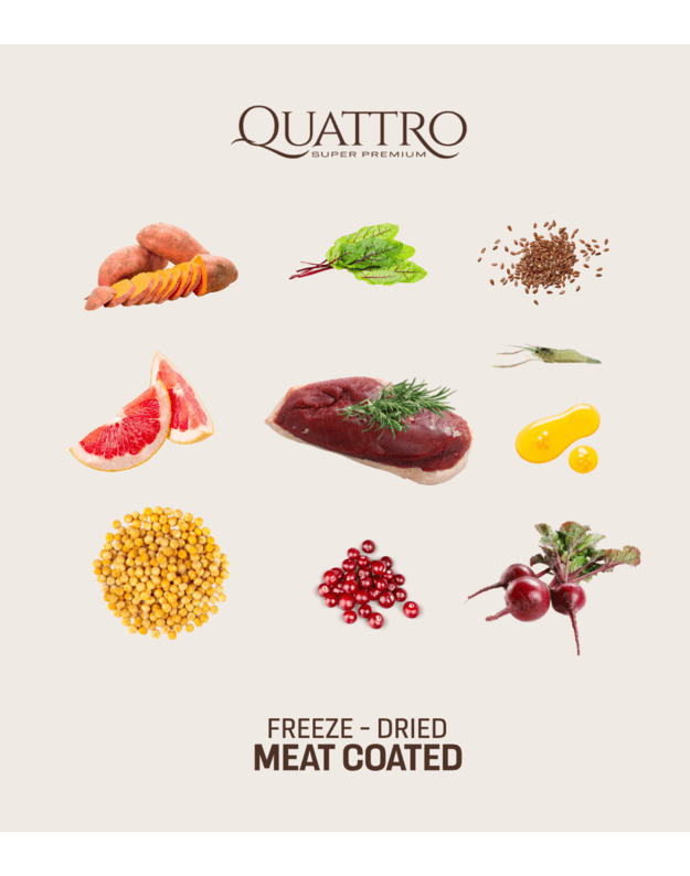 Quattro Small breed Junior  begrūdis pašaras su antiena 1,5 kg